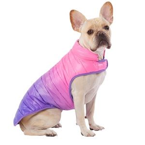 Pink & Purple Ombré Dogs Vest